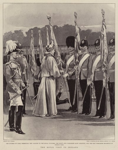 The Royal Visit to Ireland by William Small